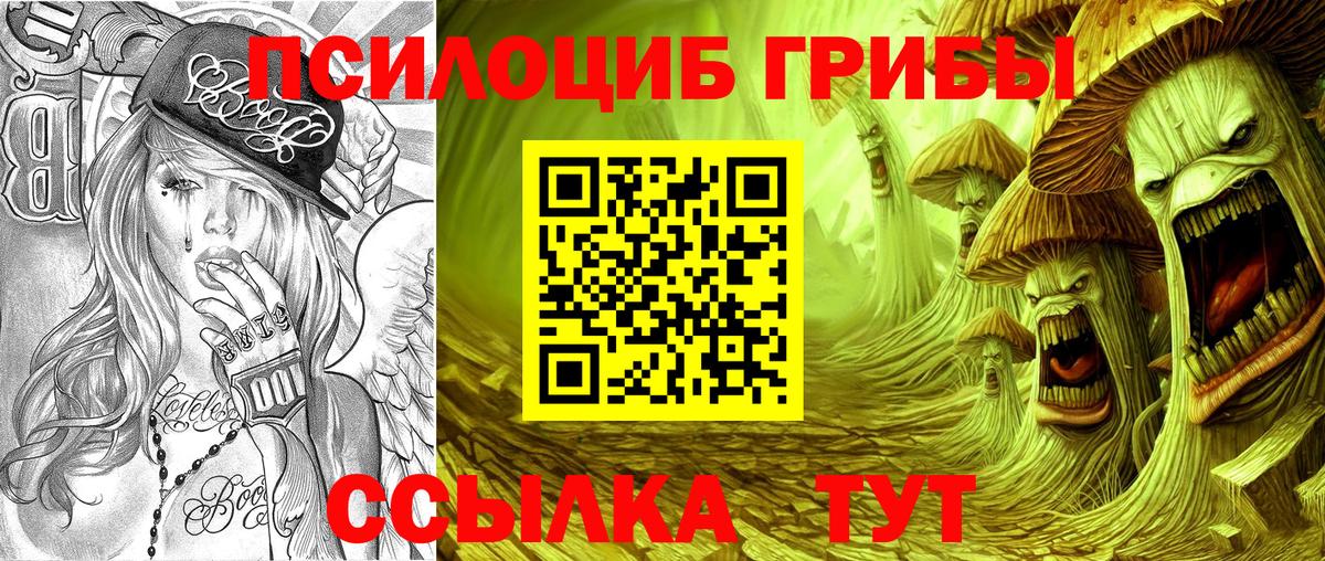 где купить наркоту  Вход с VPN  Галлюциногенные грибы Cubensis  Тамбов  Псилоцибиновые грибы MAGIC MUSHROOMS 
