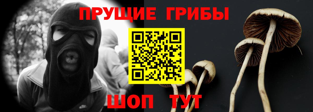 Галлюциногенные грибы ЛСД Тамбов